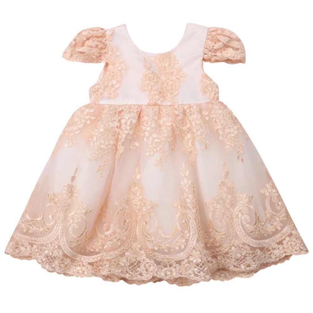 NWT Baby Girl Embroidered Dress